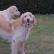 Mama-Leonie-besucht-Cara