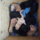 21.05.2023; Start in die 3.Woche, die Menschenmama macht gerade unsere Box sauber