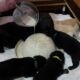 24.05.2023; heute das erstemal alle zusammen aus dem Futterring