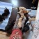 12.06.2023; kuscheln vor der Schlafenszeit