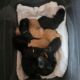 18.04. unsere Menschenmama macht gerade unsere Wurfecke sauber