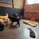 17.05.2024; wir fühlen uns wohl hier drin