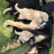 18.05.2024; bei Mama im Freien ist noch mal so gut