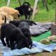 13.06.2024