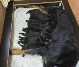 02.02.26, Beginn der 3. Woche